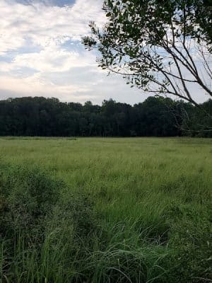 Fishing Creek, Chesapeake Beach Maryland