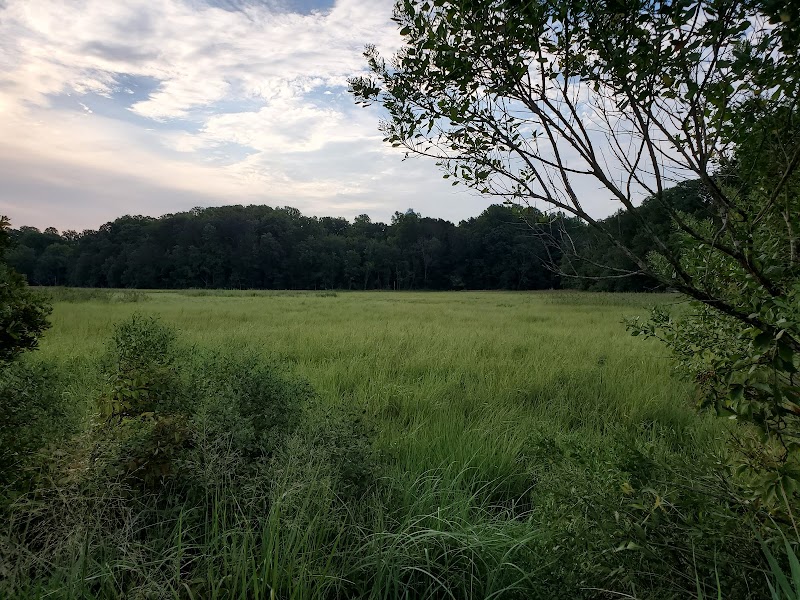 Fishing Creek, Chesapeake Beach Maryland - Chesapeake Beach, MD