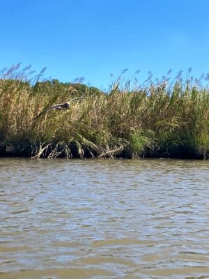 Fishing Creek, Chesapeake Beach Maryland