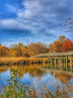 Fishing Creek, Chesapeake Beach Maryland