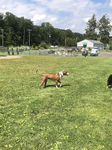 Cheshire Dog Park