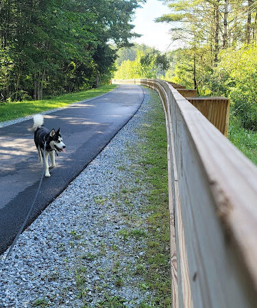 Ashuwillticook Rail Trail