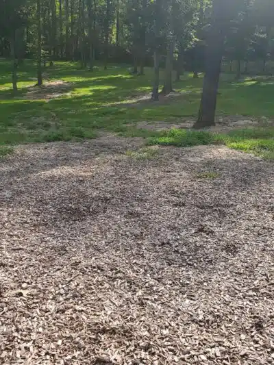 Chester Dog Park - Chester, VA