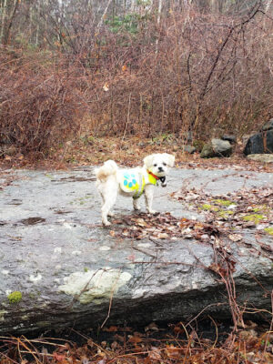 Park Knox Acres Hiking Trails