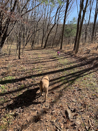 Natural Lands' Binky Lee Preserve