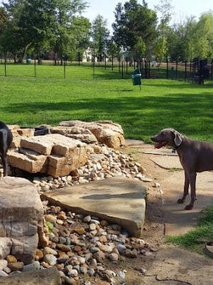 Eberwein Dog Park (Membership Required)