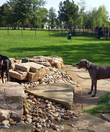 Eberwein Dog Park (Membership Required)