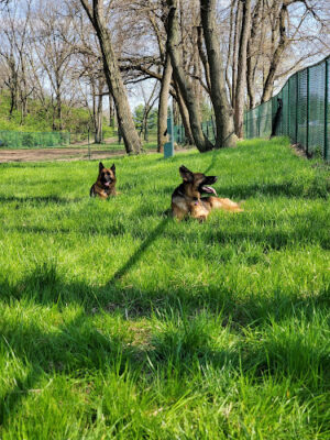 The Catherine and Holden Corzine Memorial Dog Park