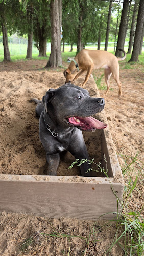 Golden Pines Private Dog Park