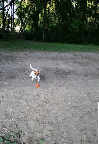 Chisago City Dog Park