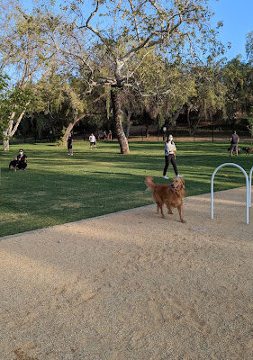 Dali’s Dog Park
