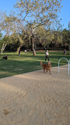 Dali’s Dog Park