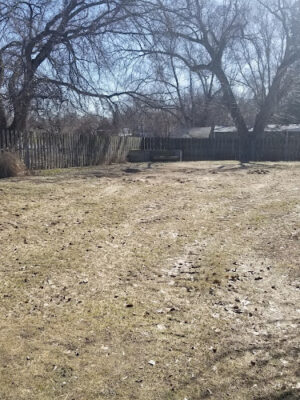 Maple Street Park