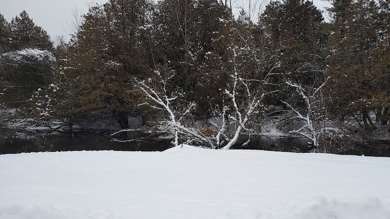 Pettit Park - Clare, MI