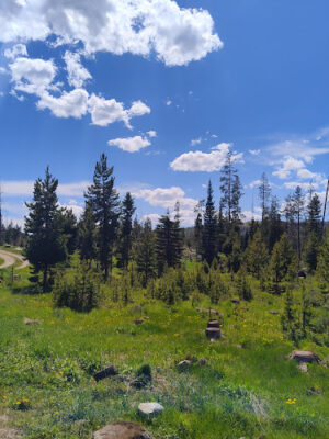 Hinman Park Campground