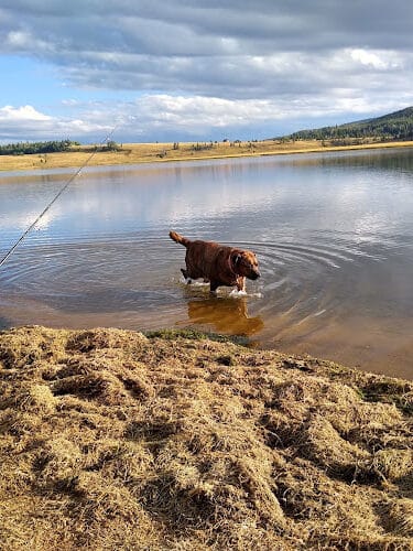 Steamboat Lake State Park
