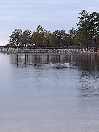 Clarks Hill Park Dog Beach