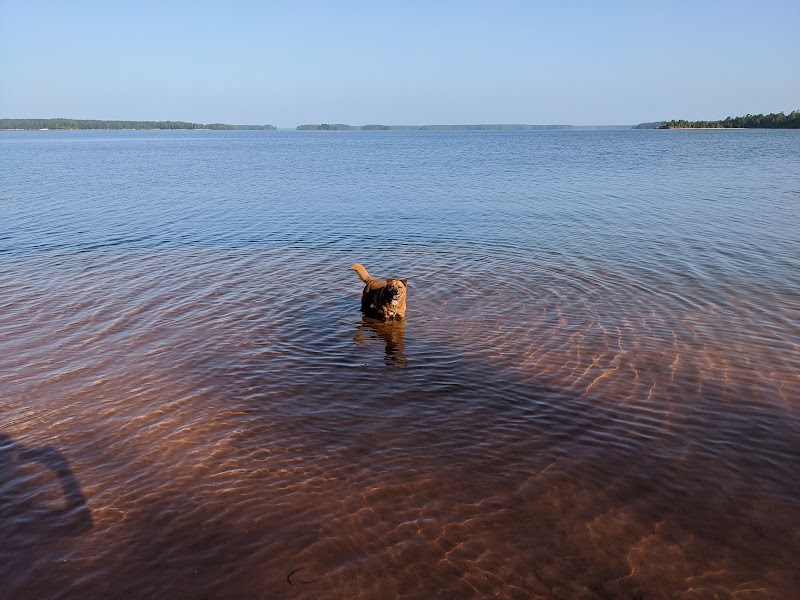 Clarks Hill Park Dog Beach - Clarks Hill, SC