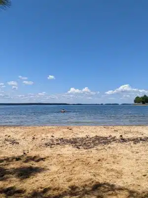 Clarks Hill Park Dog Beach