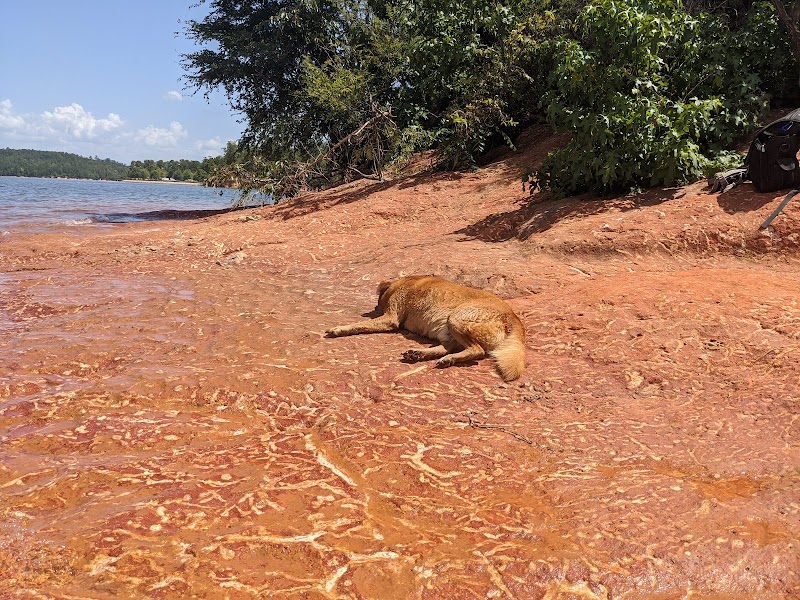 Clarks Hill Park Dog Beach - Clarks Hill, SC