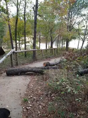 Clarks Hill Park Dog Beach
