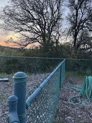 Clayton Dog Park