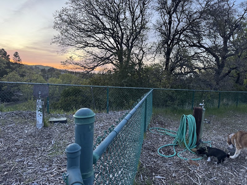 Clayton Dog Park - Clayton, CA