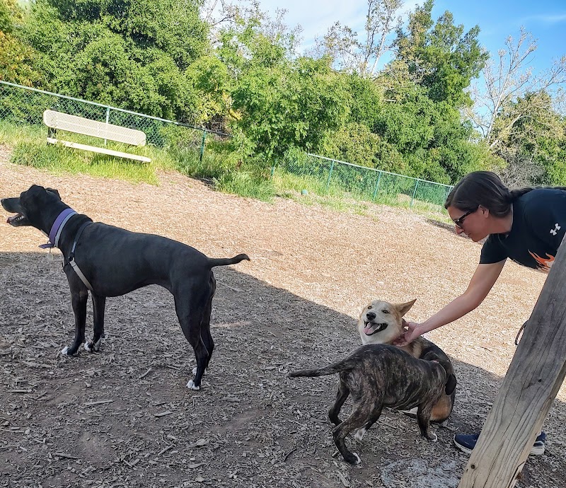 Clayton Dog Park - Clayton, CA