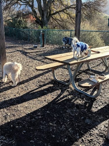 Clayton Dog Park