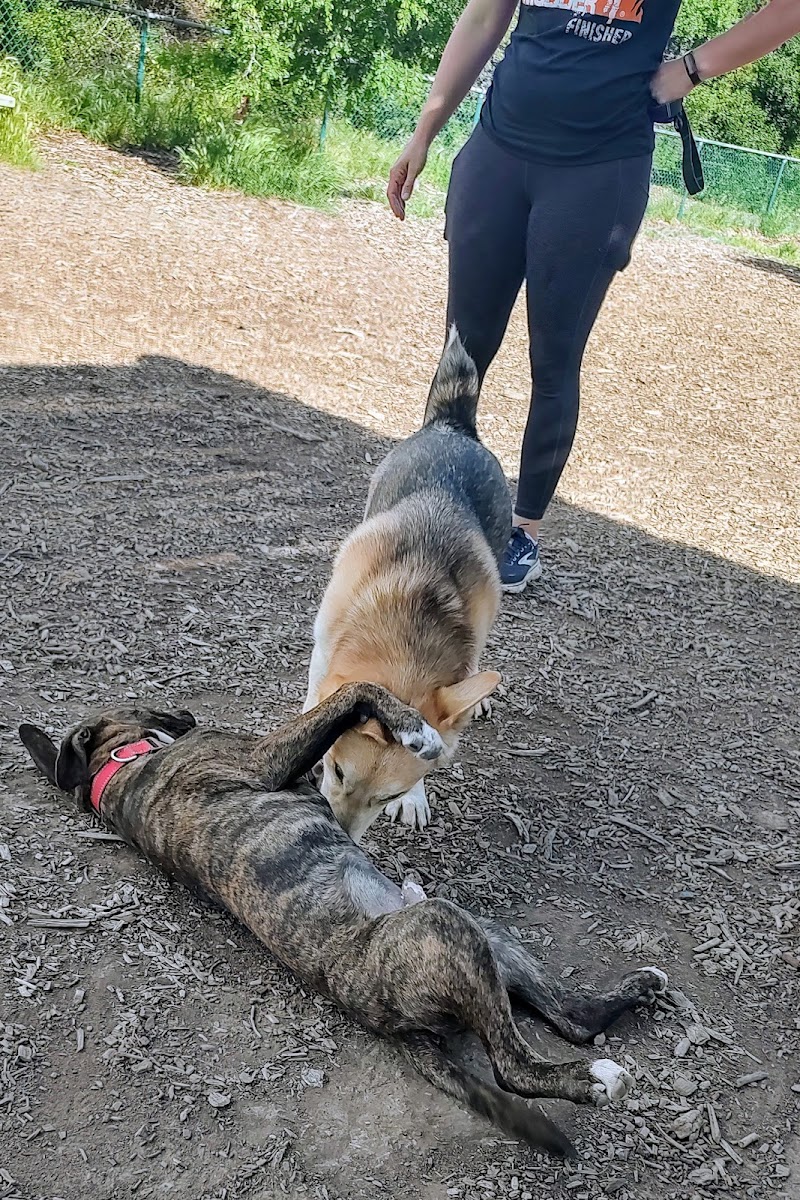 Clayton Dog Park - Clayton, CA