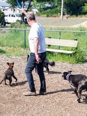 Clayton Dog Park