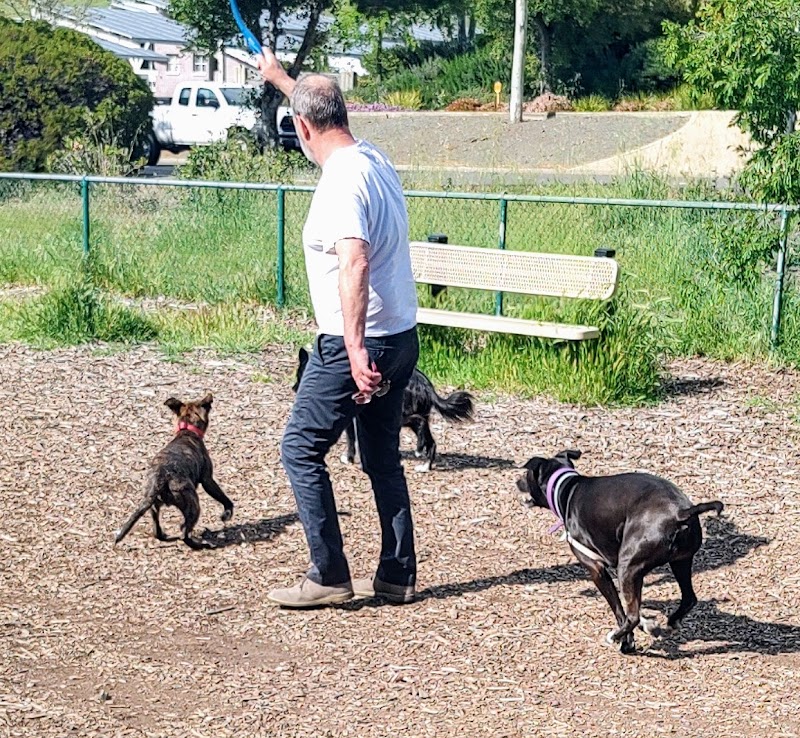 Clayton Dog Park - Clayton, CA