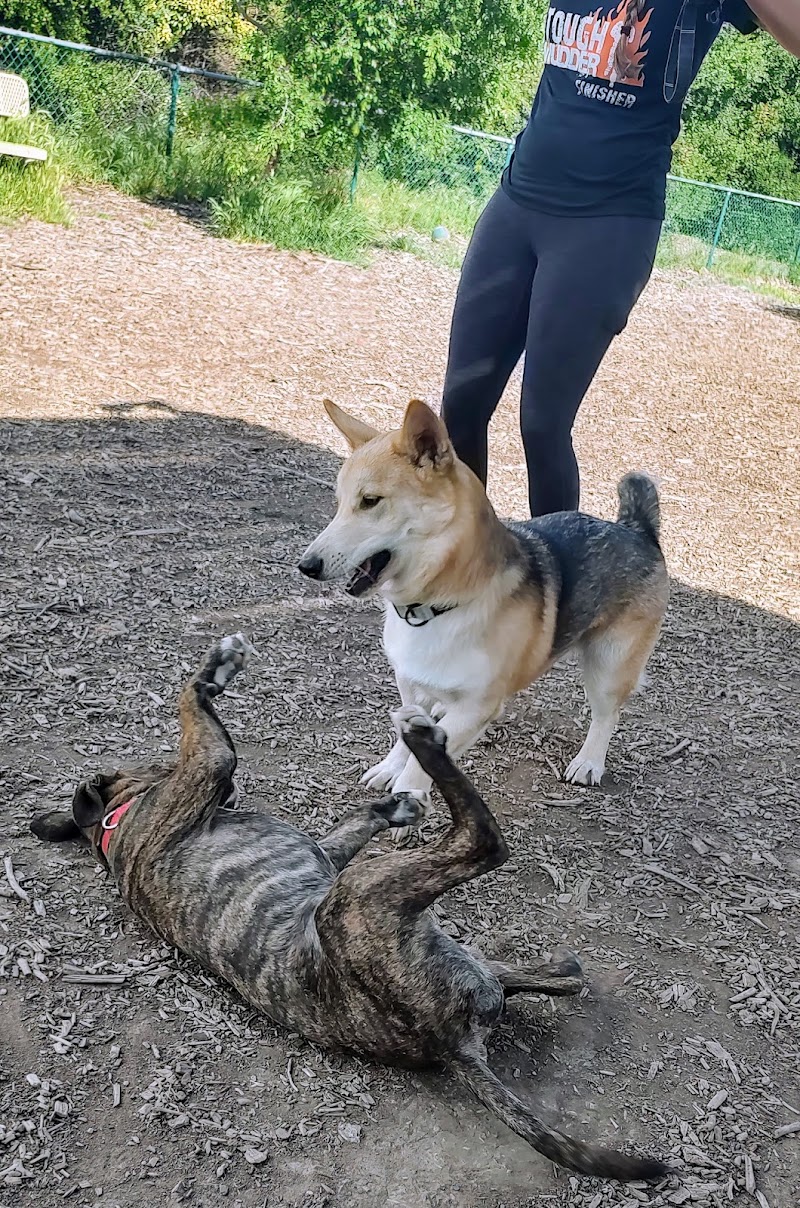 Clayton Dog Park - Clayton, CA