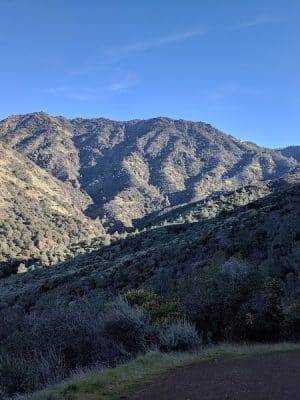 Clayton Dog Park