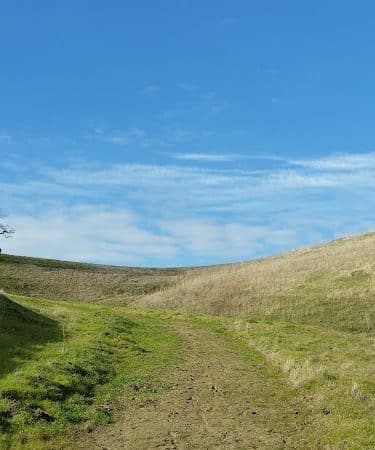 Clayton Dog Park