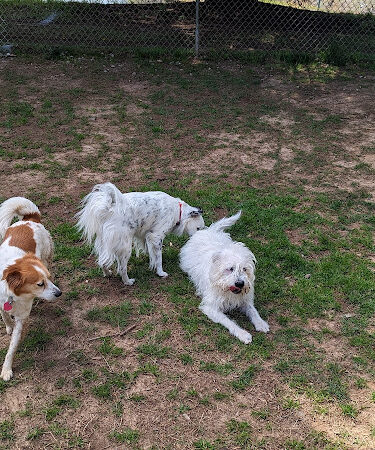 Rabun County Bark Park