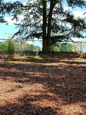 East Clayton Dog Park