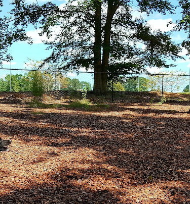 East Clayton Dog Park