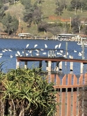 Clearlake Park - Clearlake, CA