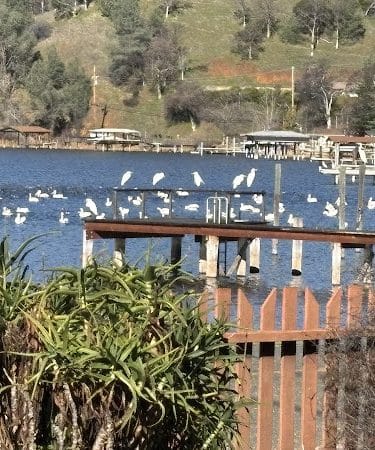Clearlake Park
