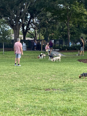 Crest Lake Dog Park