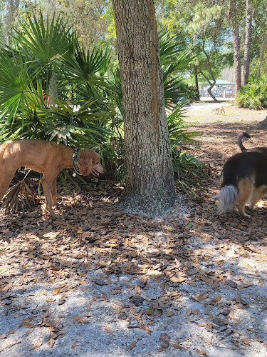 Enterprise Dog Park