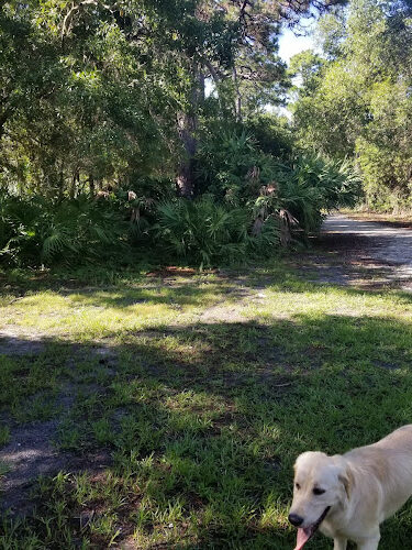 Northeast Park & Paw Place