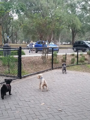 Clermont Dog Park