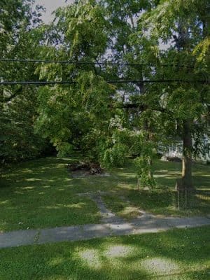Clifford Park