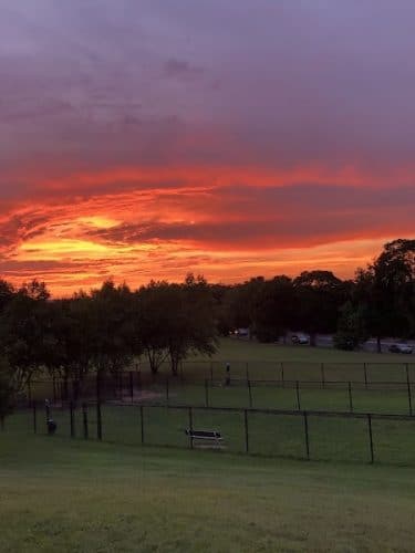 Nash Park