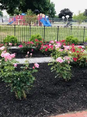 Nash Park