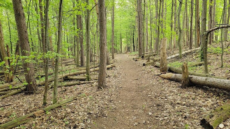 Cold Brook County Park - Climax,