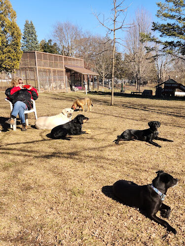 Clinton Dog Park