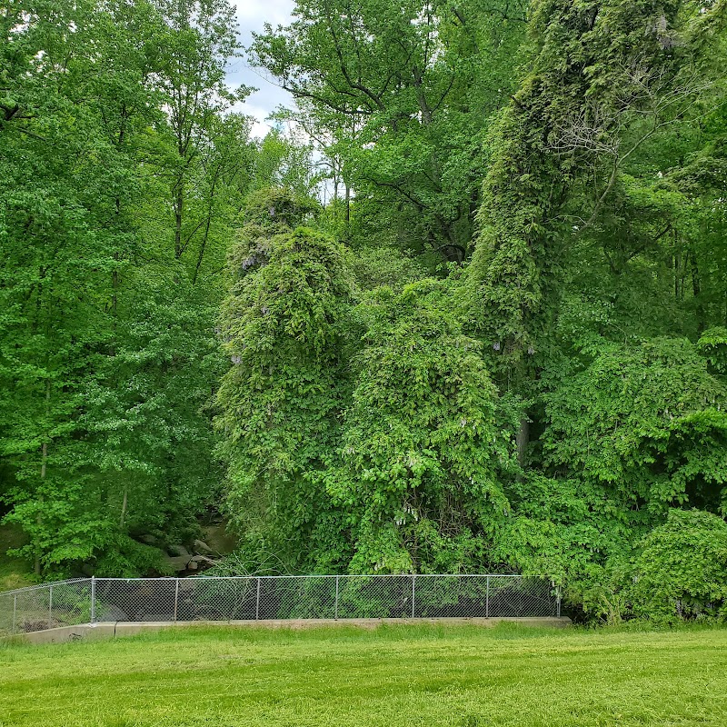 Cosca Regional Park Play Area - Clinton, MD